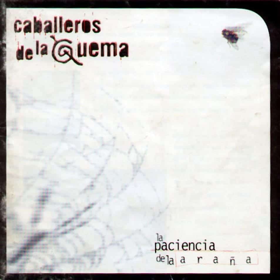 La paciencia de la araña