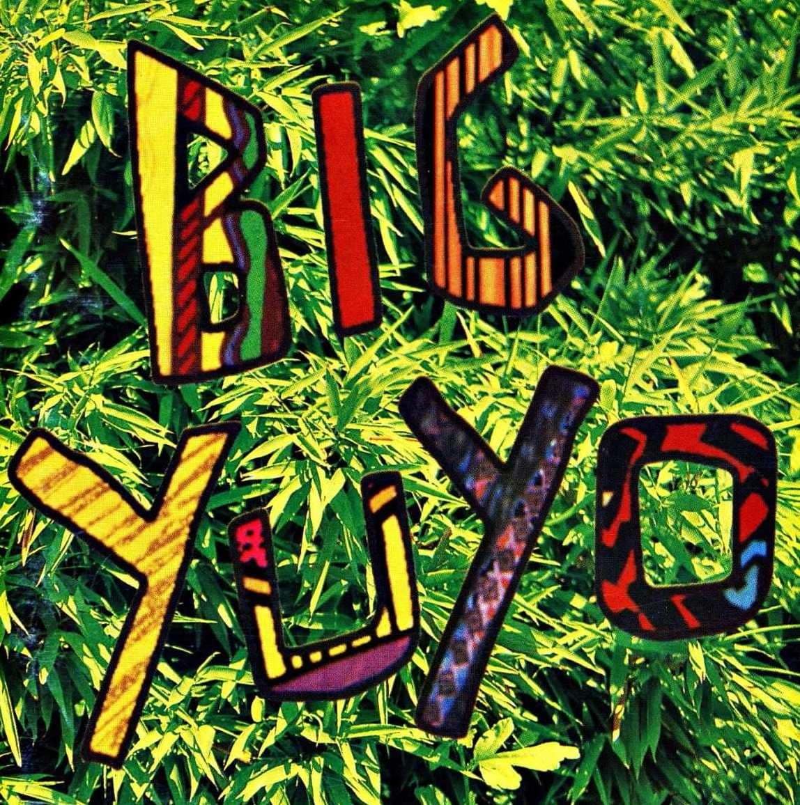 Big Yuyo, un disco de Los Pericos