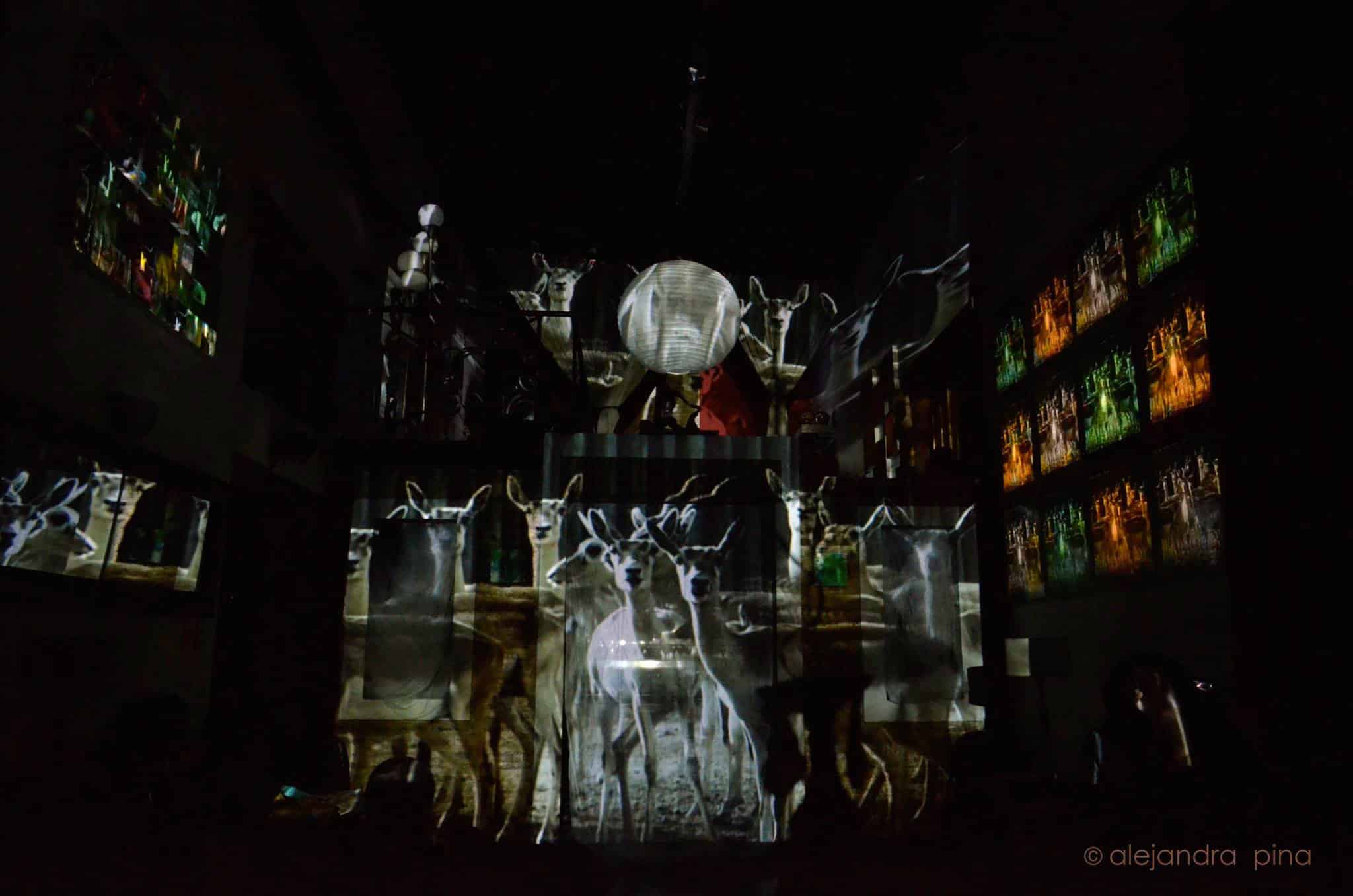 Al Ver Verás, música para mirar - Al Ver Verás es un espectáculo audiovisual. Tiene una banda en vivo y proyecciones como base. Trabajan tanto en lugares cerrados como en terrazas abiertas. Puestas mínimas que pueden entrar en pequeñas salas y gigantes proyecciones al aire libre sobre edificios de la ciudad.Desde su concepción el lugar es el que manda y los realizadores de la puesta juegan con los espacios para que el espectador se lleve una experiencia única. No sólo porque el espectáculo tiene la capacidad de mutar constantemente, además las puestas permiten el movimiento de los espectadores en esta "escena abierta", vivenciando cada uno a su manera la experiencia de "Al Ver Verás". Se presentan hasta fin de noviembre en una experiencia bajo techo y durante diciembre en una terraza de la zona de San Telmo. Al Ver Verás