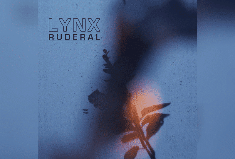 "Ruderal", de Lynx - “Romper” es 100 por ciento argentina ya que los Lynx se le suman los Fus Delei para configurar una rareza bailable, con un beat de batería electrónica que recuerda al toque de OMD, mientras las máquinas y sintetizadores le dan un toque extravagante y andrógino a la canción.