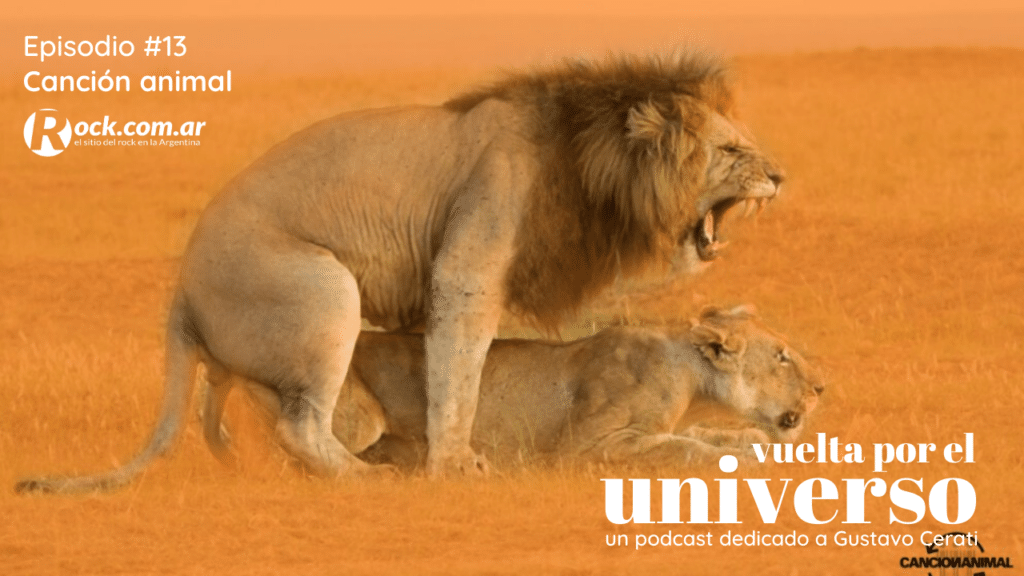 Vuelta por el universo: Canción animal - Vuelta por el universo es un podcast producido por Tatiana Scorciapino para Rock.com.ar con un recorrido por la trayectoria de Gustavo Cerati cancion animal