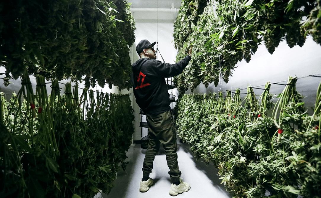 Shavo Odadjian: "System of a Down nunca va a morir" - -John Dolmayan, el baterista de System of a Down, me contó que nunca fumó marihuana. ¿Trataste de convencerlo para que probara algo de 22Red? 2a46b2b3 e3e0 48b9 80a9 5c710a9f22d4