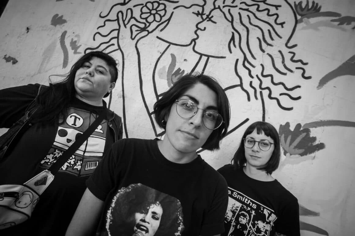 Las Vin Up - La historia de la banda, según su propia página web: Las Vin Up