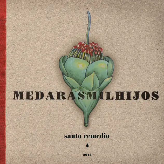 Santo remedio