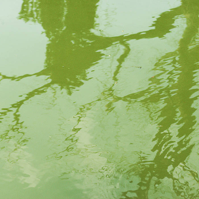 Lago